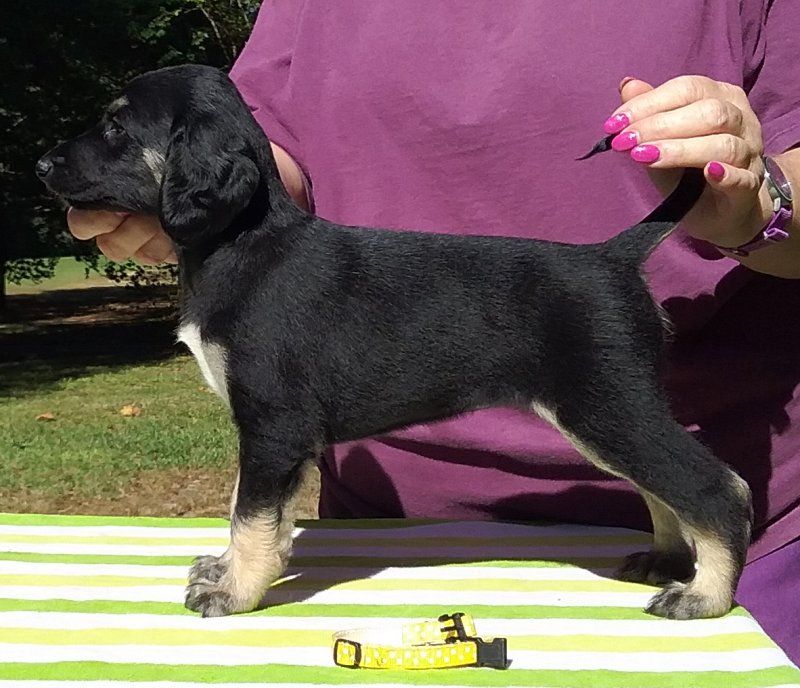 Yellow Girl 5 Weeks.jpg - 1612 K